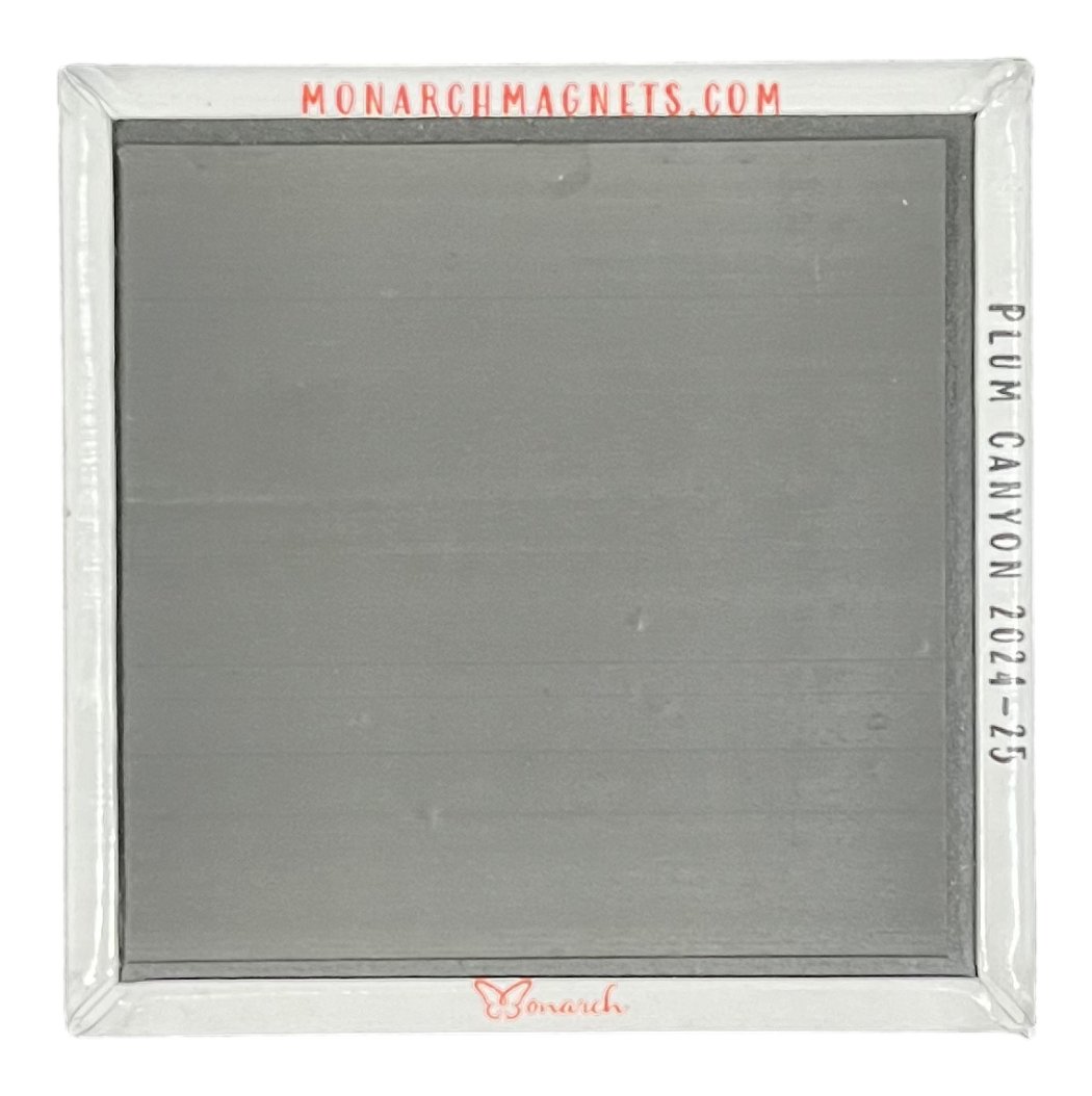 Picture Day MagnetGrams™